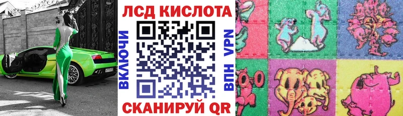 продажа наркотиков  Болгар  ссылка на мегу tor  Марки NBOMe 1,8мг 