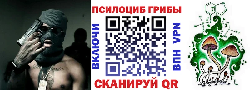blacksprut рабочий сайт Болгар Псилоцибиновые грибы Psilocybine cubensis
